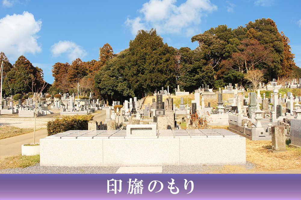 印旛のもり
