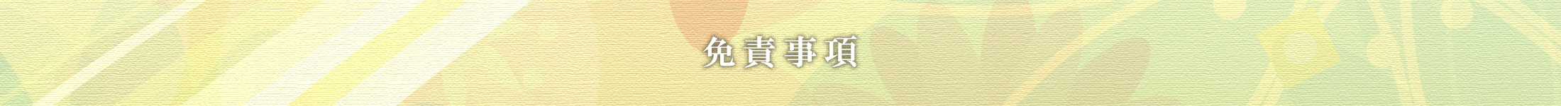 免責事項